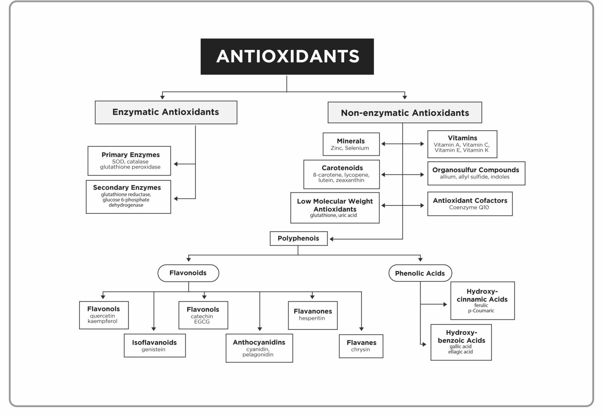 Antioxidant Meaning Greek at Jeffery Popp blog